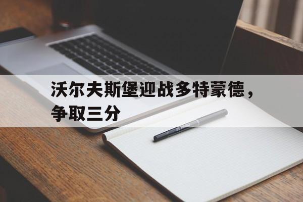 沃尔夫斯堡迎战多特蒙德，争取三分的简单介绍
